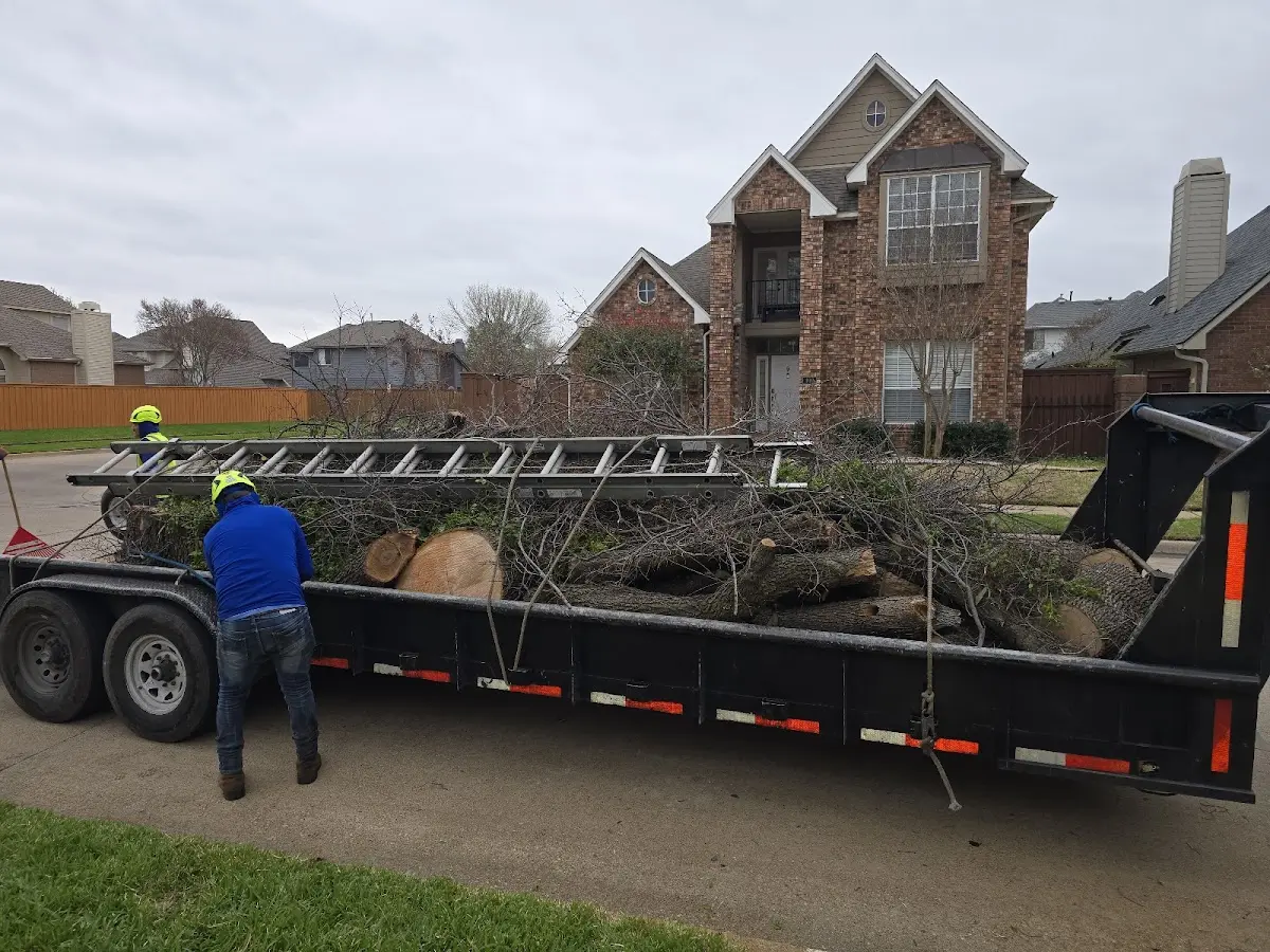 Expert Tree Removal with proper safety equipment in Roanoke